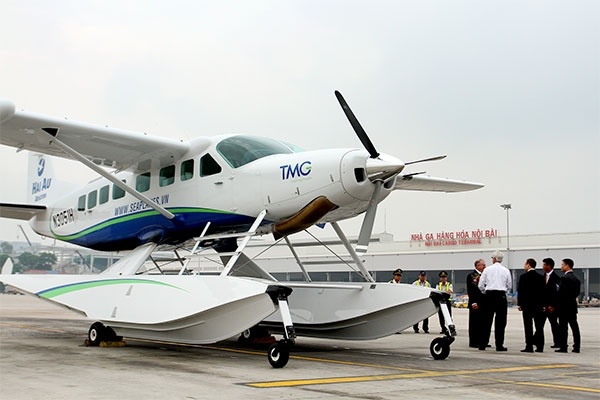 Hang khong Hai Au thua nhan lo nang, nguy co ngung bay hinh anh