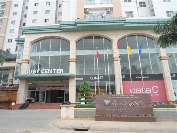 Them 2 chung cu tai TP HCM bi chu dau tu mang di the chap hinh anh