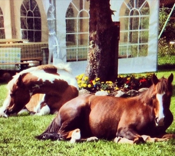 Nu ty phu sinh nam 97 tre tuoi nhat the gioi anh 5