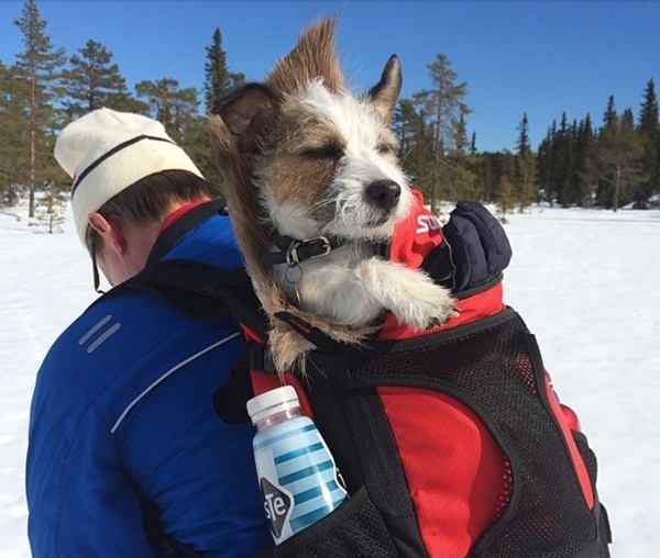 Nu ty phu sinh nam 97 tre tuoi nhat the gioi anh 6