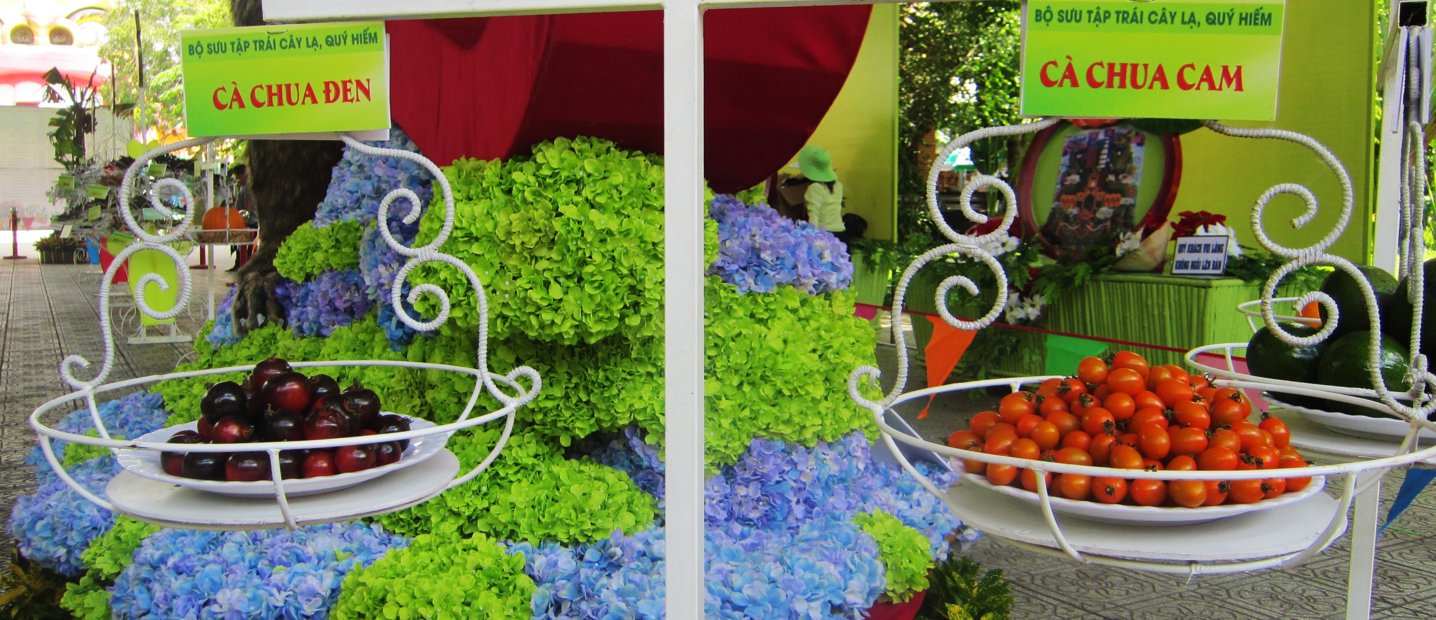 Nhieu loai trai cay doc la trong le hoi trai cay anh 2