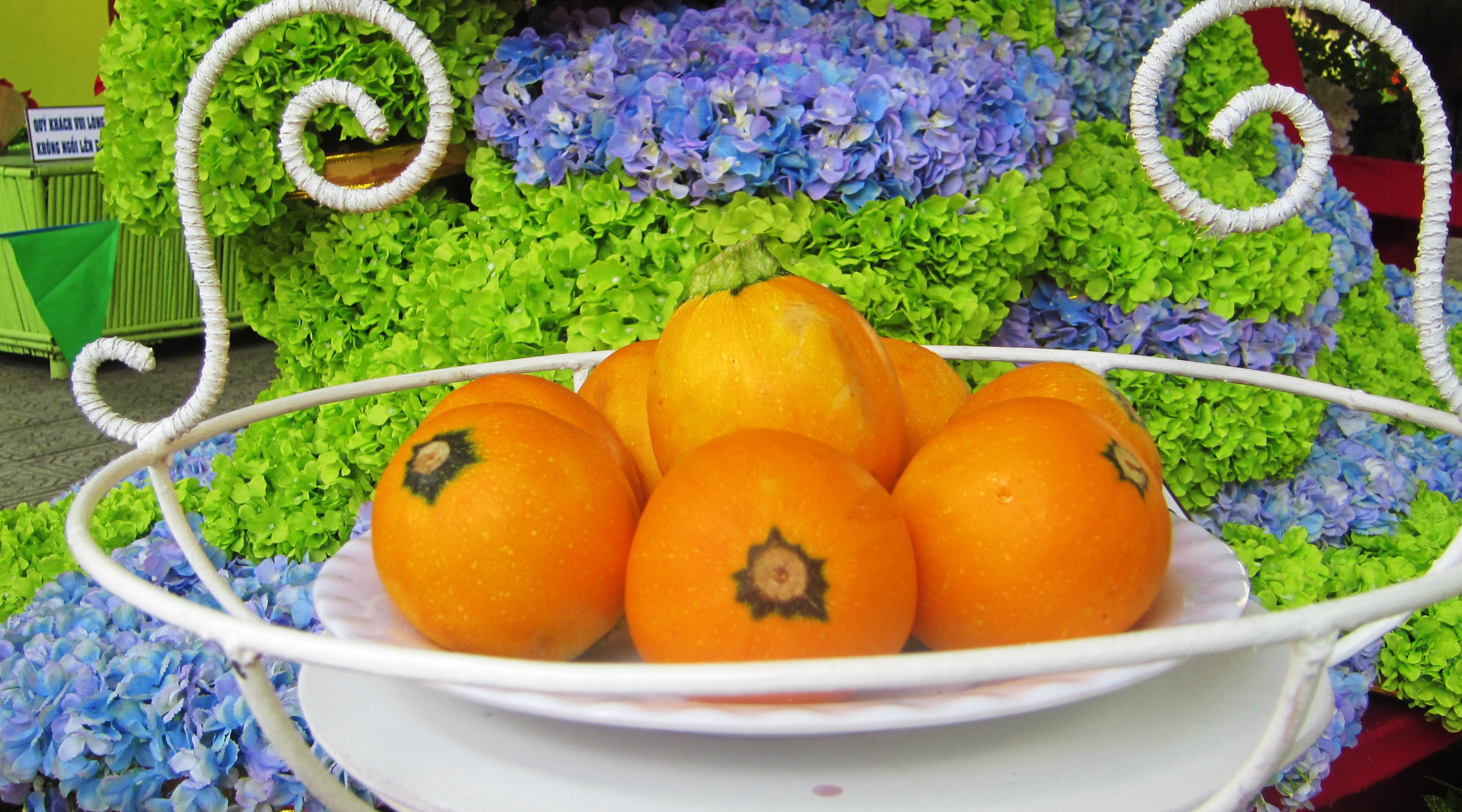 Nhieu loai trai cay doc la trong le hoi trai cay anh 3