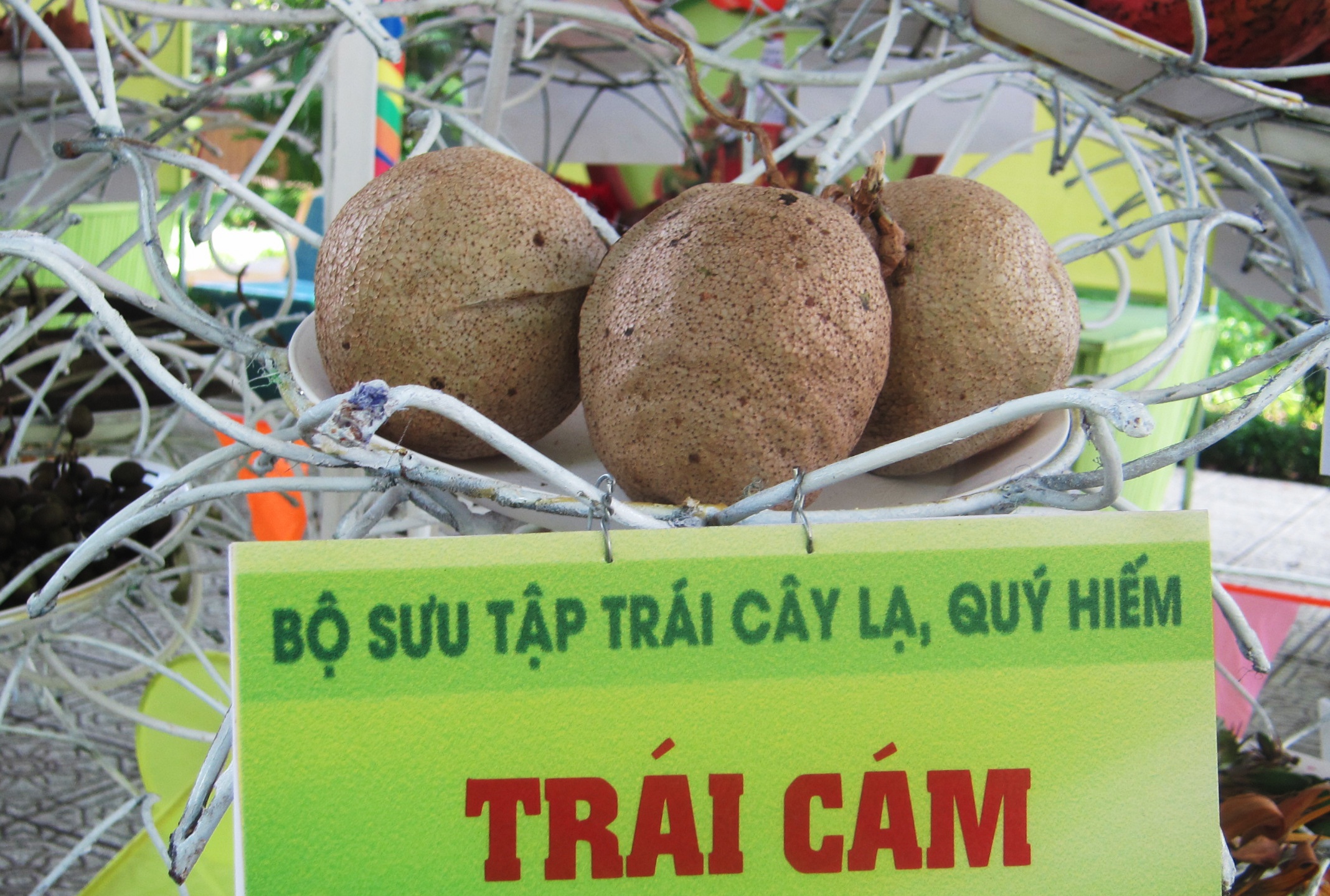Nhieu loai trai cay doc la trong le hoi trai cay anh 4