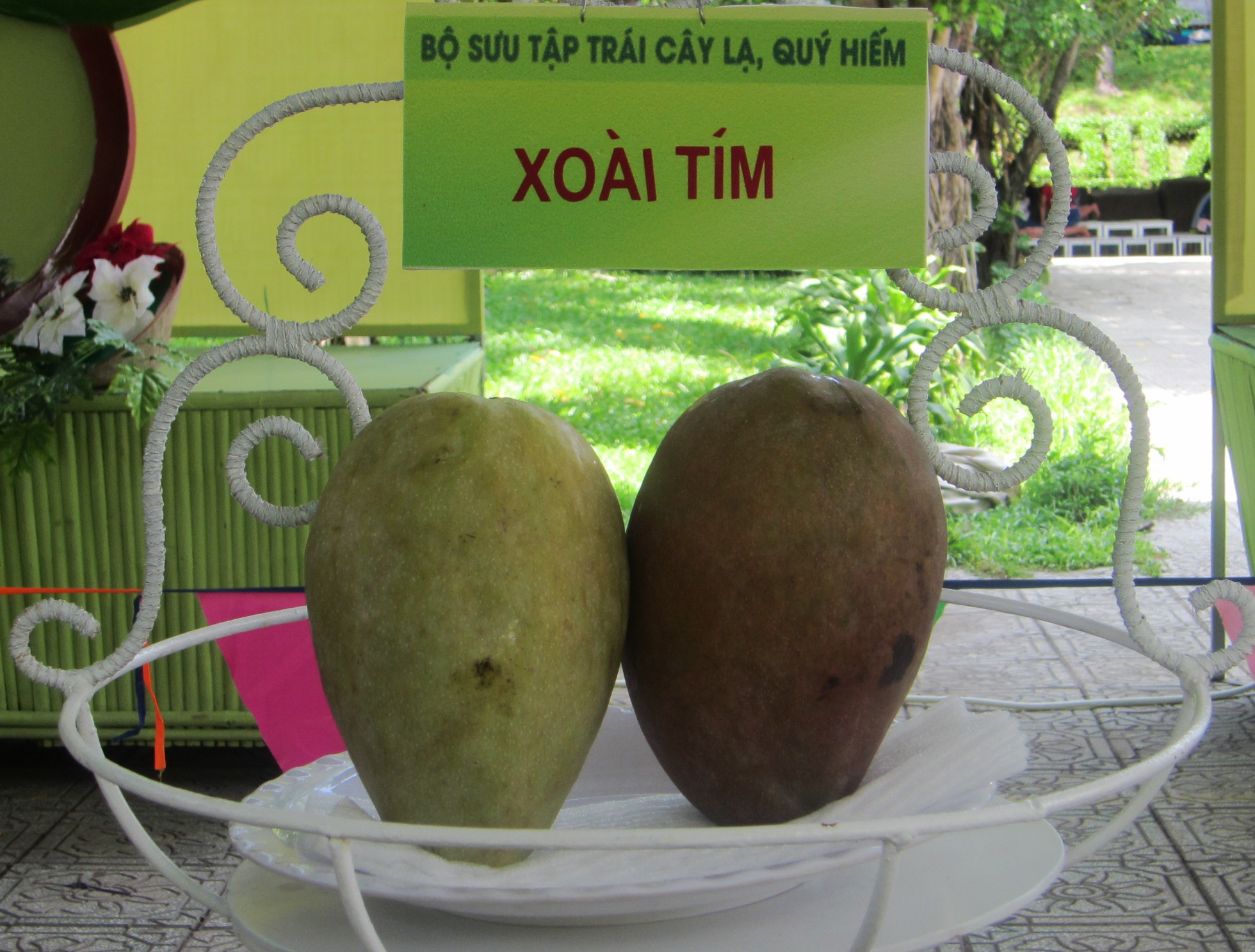 Nhieu loai trai cay doc la trong le hoi trai cay anh 6