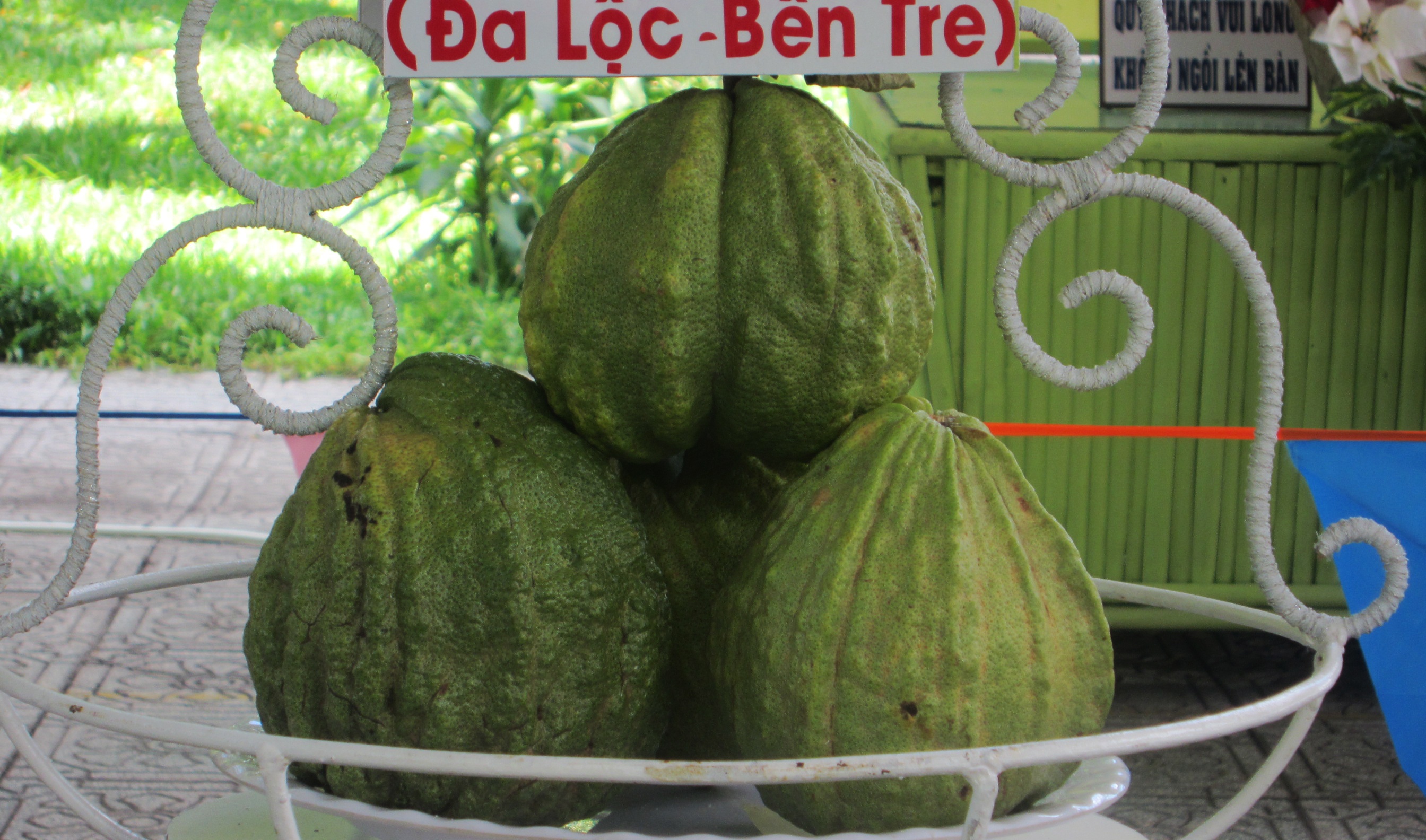 Nhieu loai trai cay doc la trong le hoi trai cay anh 7