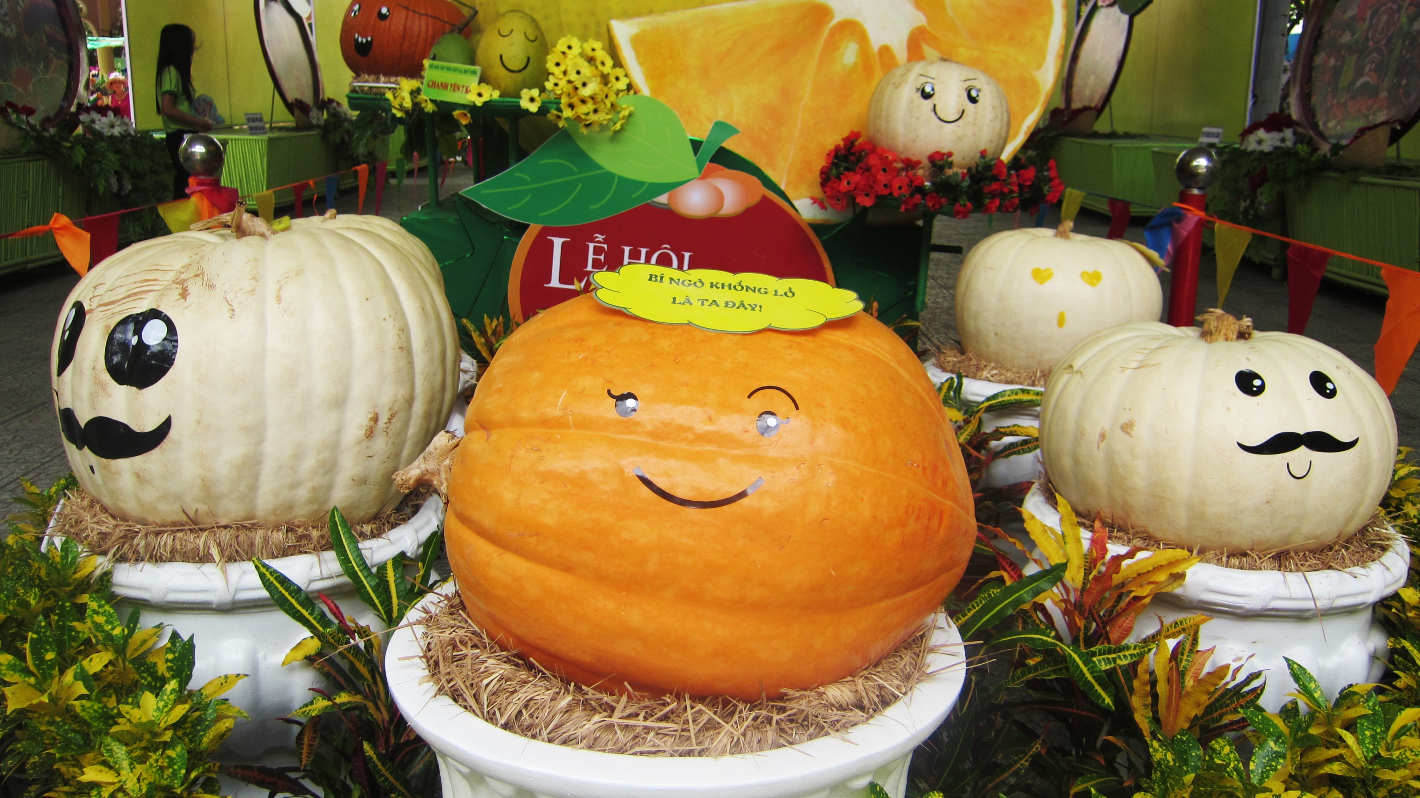 Nhieu loai trai cay doc la trong le hoi trai cay anh 8