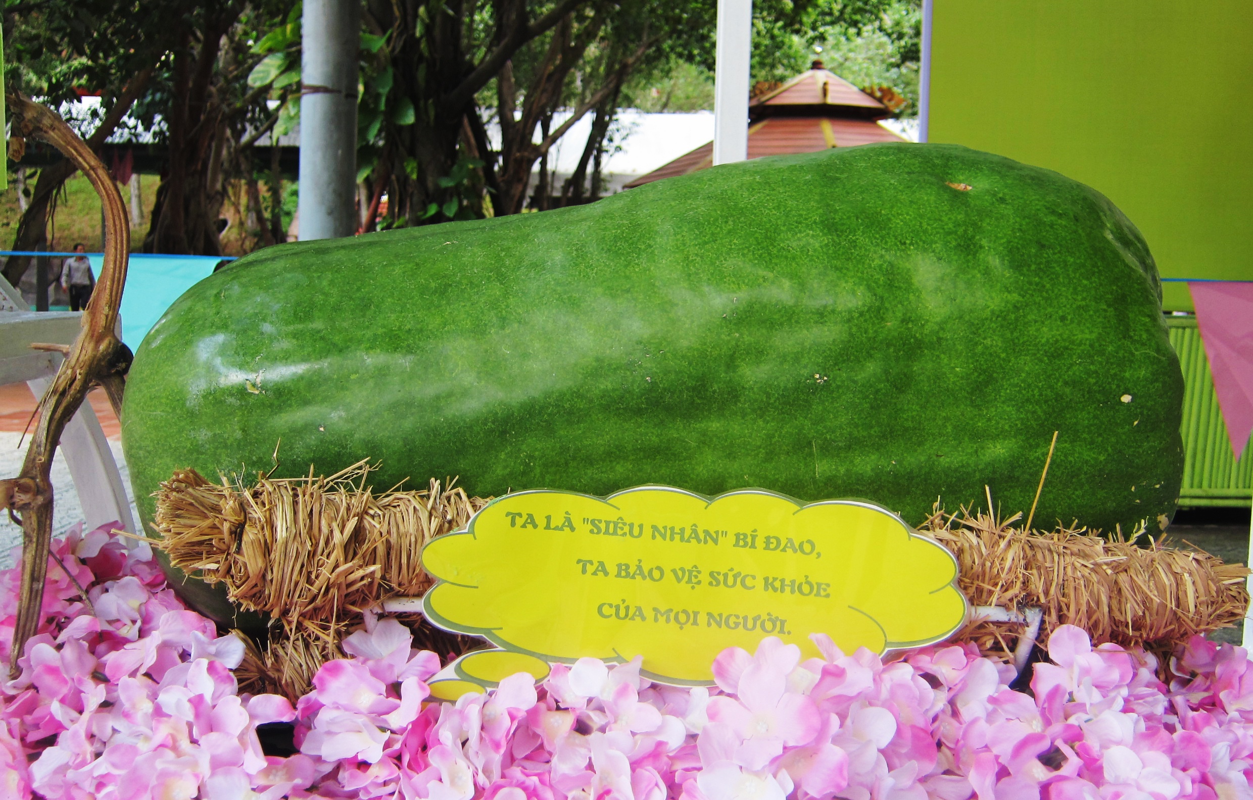 Nhieu loai trai cay doc la trong le hoi trai cay anh 10