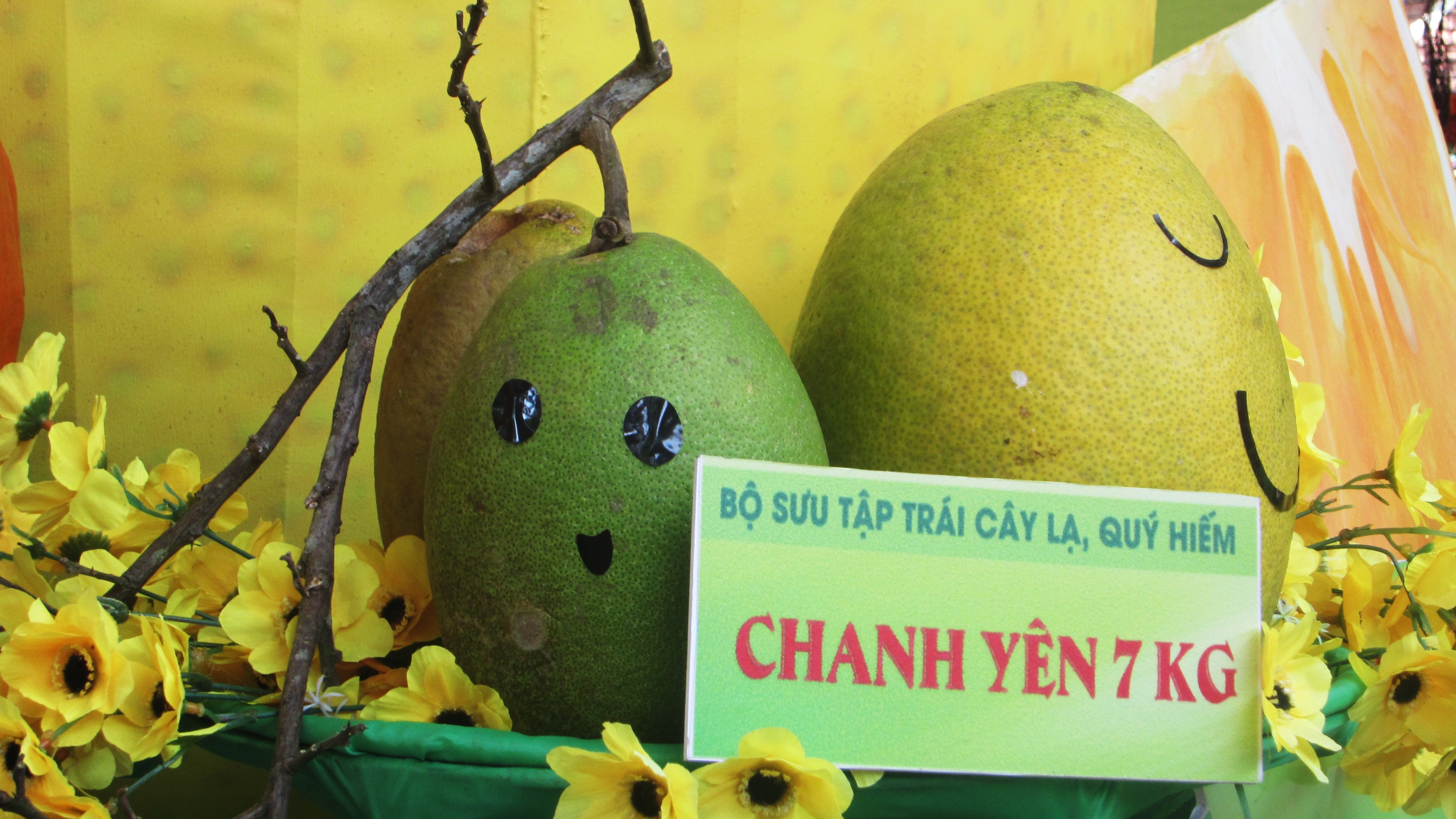 Nhieu loai trai cay doc la trong le hoi trai cay anh 12