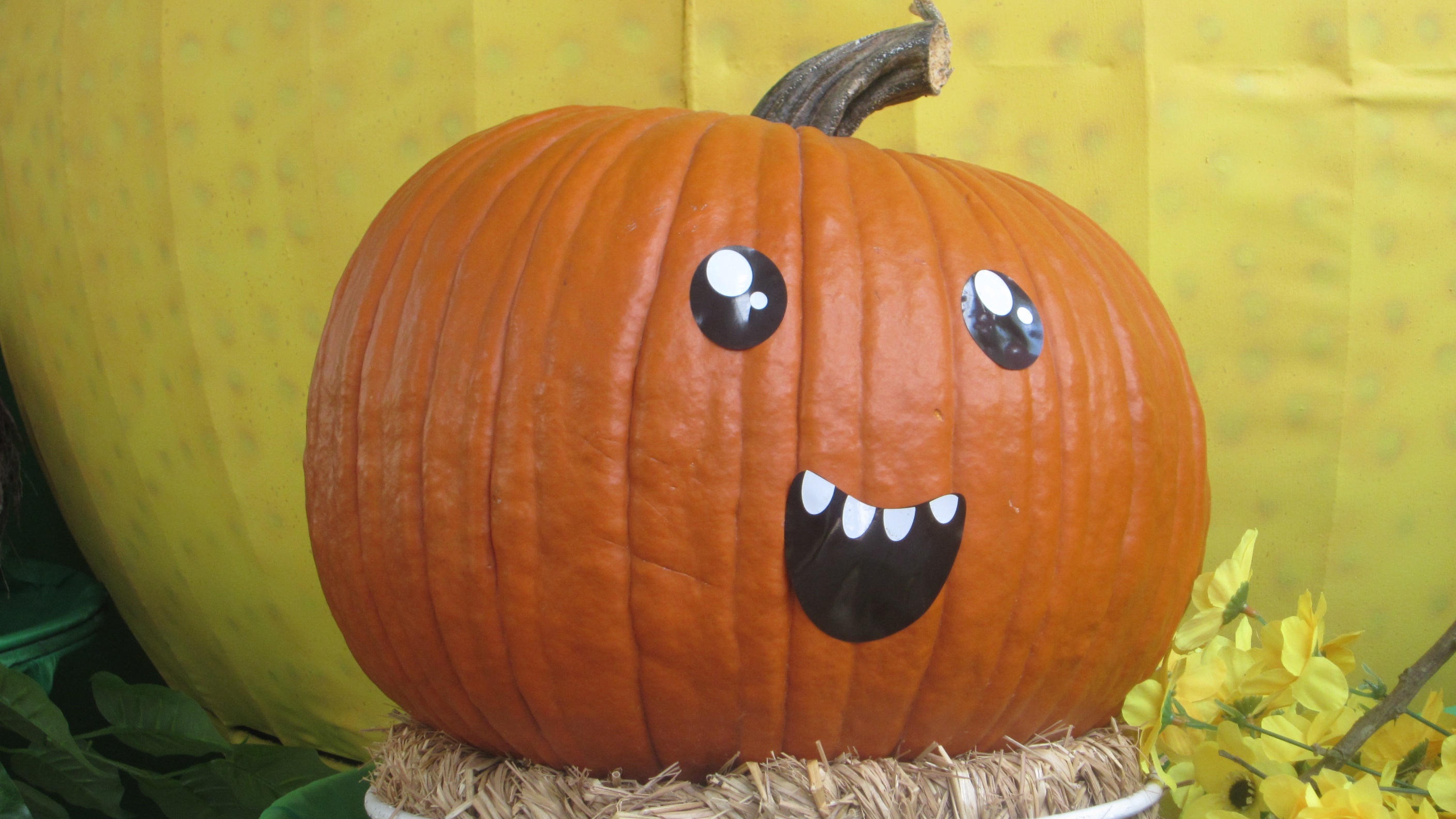 Trai cay doc, la hoi tu ve Sai Gon hinh anh