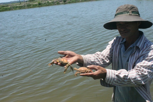 Tom chet tran lan, dan om no hinh anh