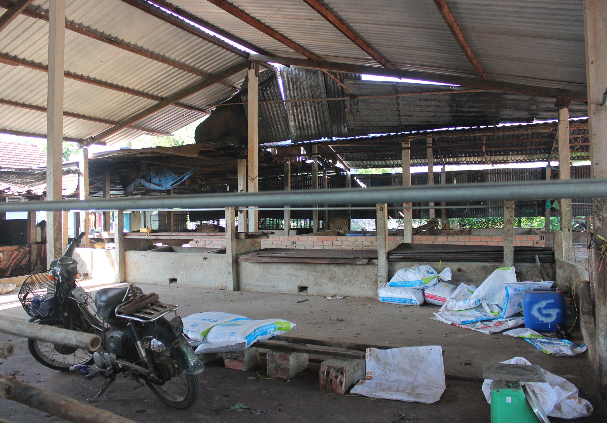 Nguoi nuoi bo vat sua de tam anh 3