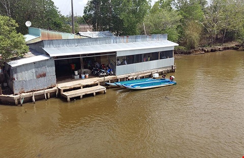 Ban tom ghim dinh de ha uy tin chu vua hinh anh