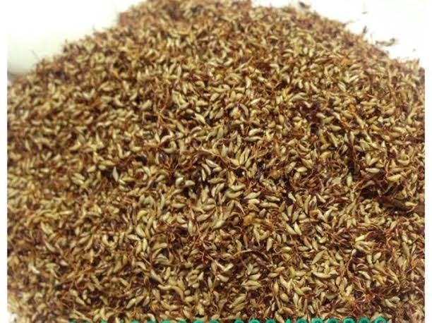 Nguoi Ha Noi lung mua thach rung bi an an giai nhiet hinh anh