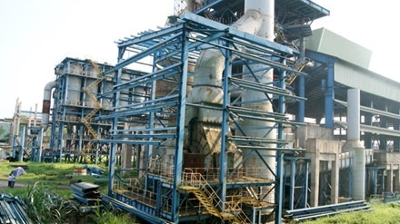 Cai gi 'ngon' nhat da ban het roi hinh anh