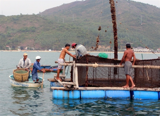 tom hum bong dung lan ra chet thiet hai tien ty anh 2