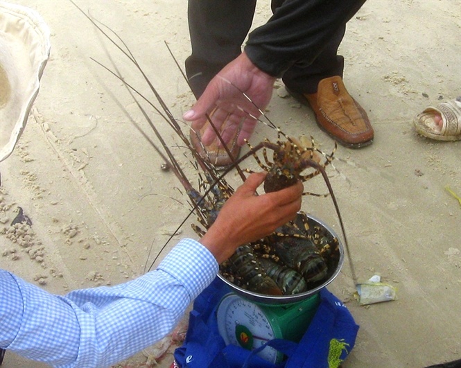 tom hum bong dung lan ra chet thiet hai tien ty anh 3