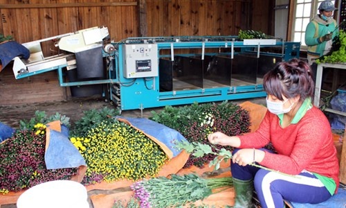 lang than ky o Da Lat anh 5