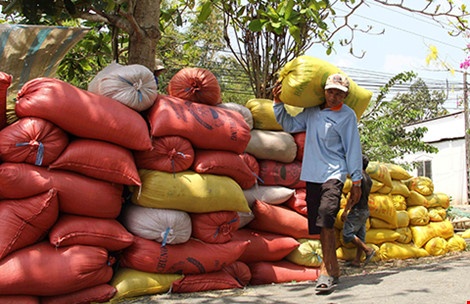 Trung Quoc sang tan ruong kiem tra gao Viet hinh anh