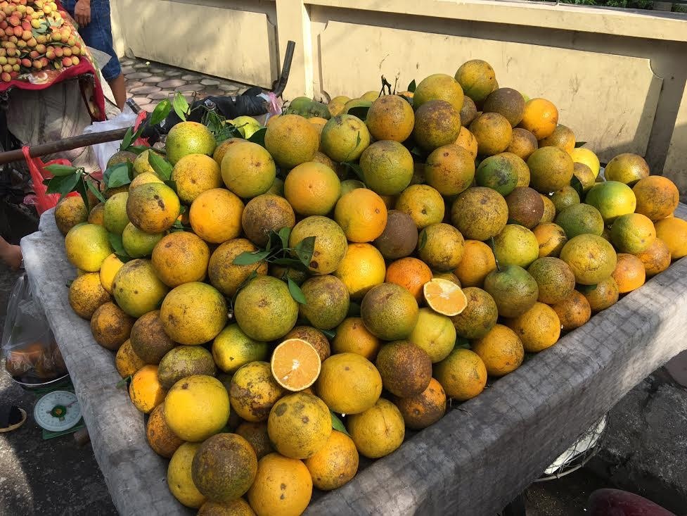 Kinh nghiem tranh mua nho, cam Trung Quoc ba noi tro can nho hinh anh