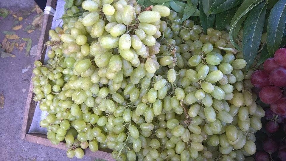 Nho, Cam Trung Quốc không hạt ảnh 2 Nho, Cam Trung Quoc khong hat anh 2