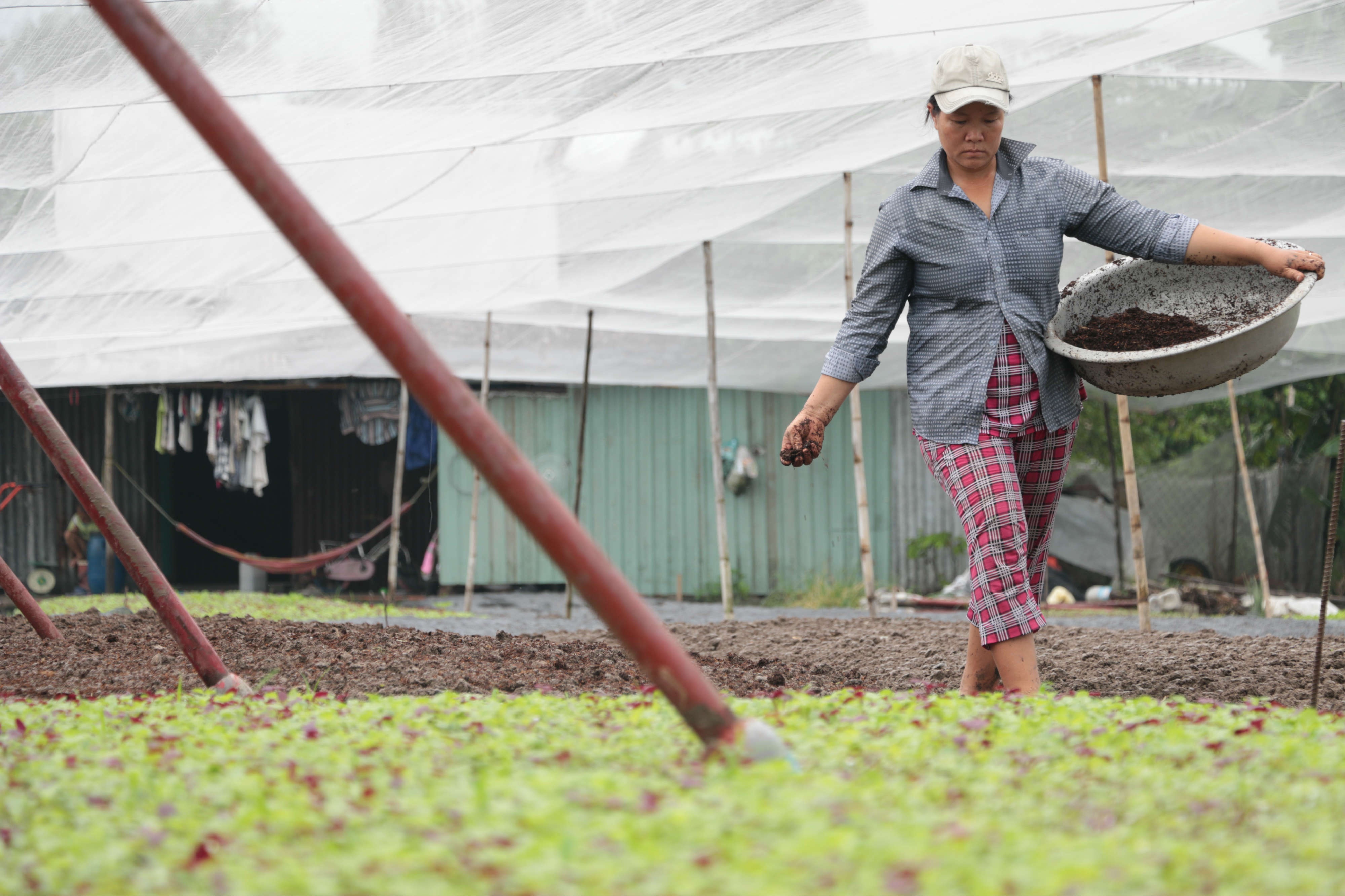 Kiem tien tu trong rau tren dat cho xay dung hinh anh