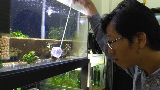 Tep canh ti hon gia chuc trieu hinh anh