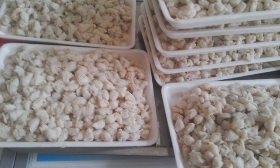 Thit ghe sieu re: Dan buon hai san giat minh lo so hinh anh