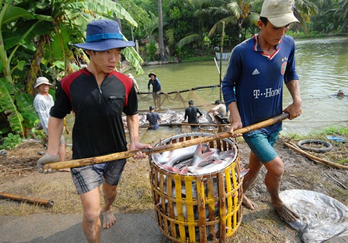 Vasep de xuat thu thue voi thuong lai Trung Quoc hinh anh