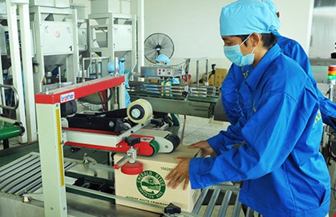 Ngoi choi vi mat thi truong xuat khau gao hinh anh