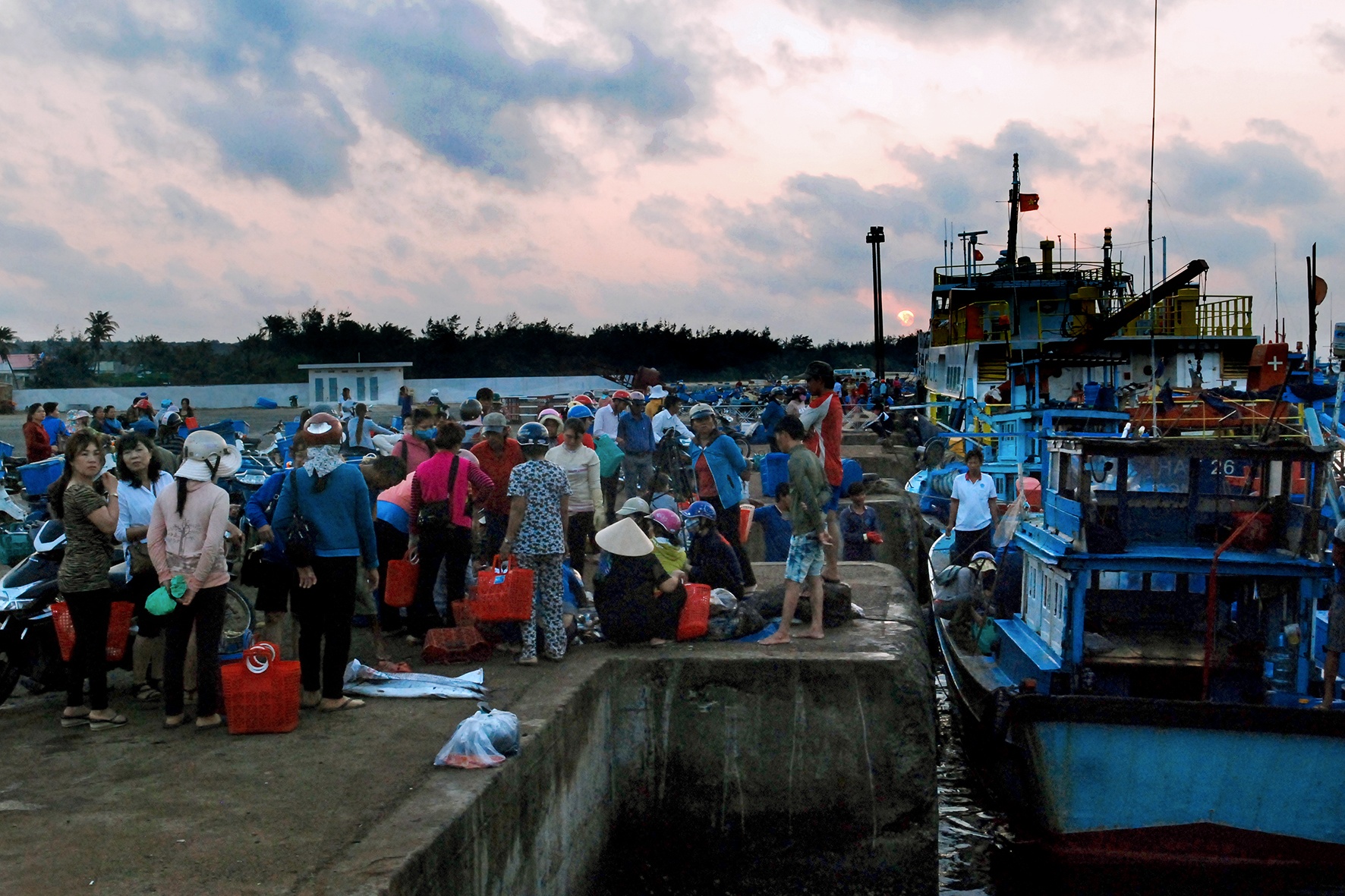 chợ cá đất cảng Phú Qúy ảnh 7 cho ca dat cang Phu Quy anh 7