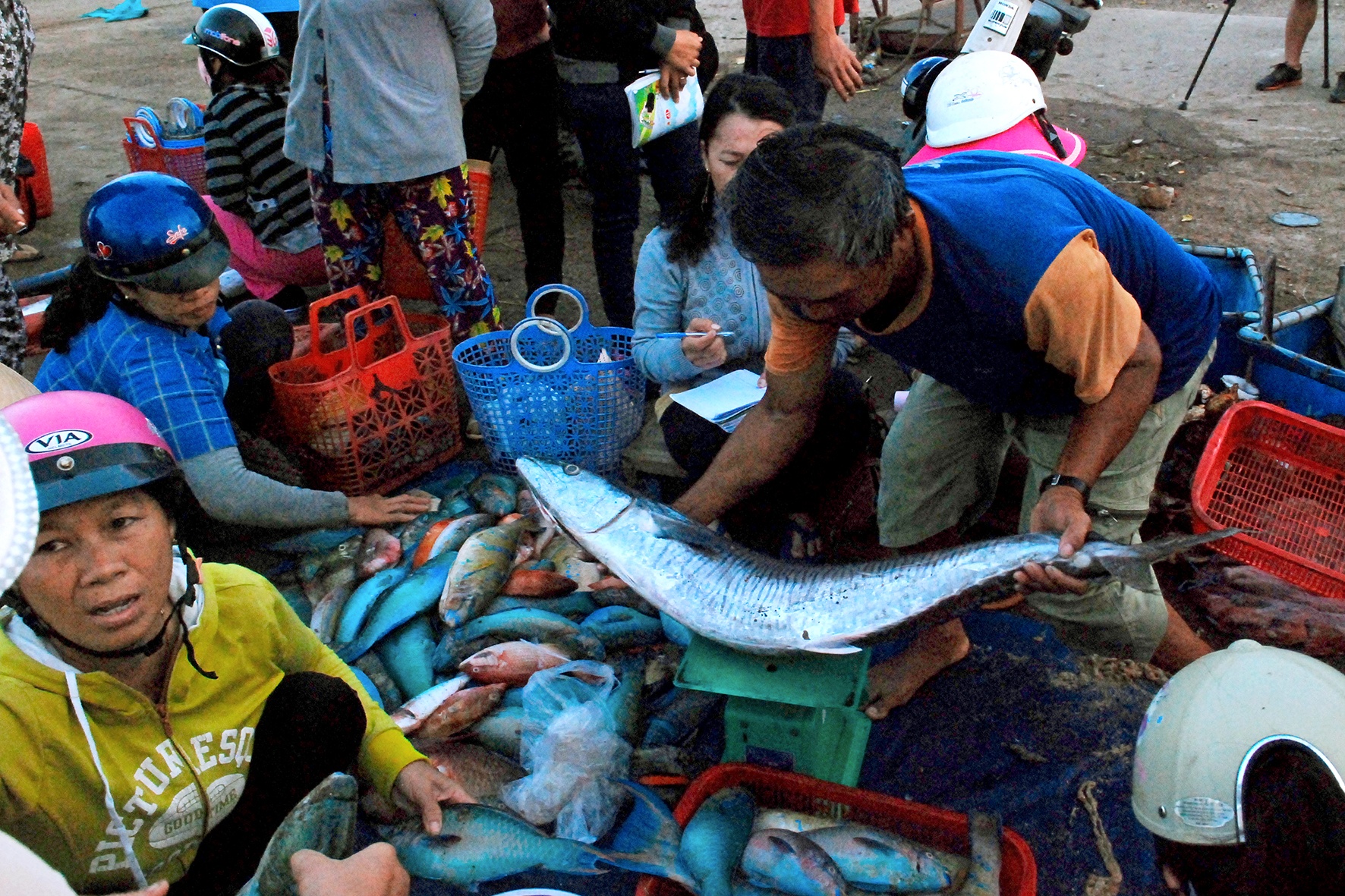 chợ cá đất cảng Phú Qúy ảnh 6 cho ca dat cang Phu Quy anh 6