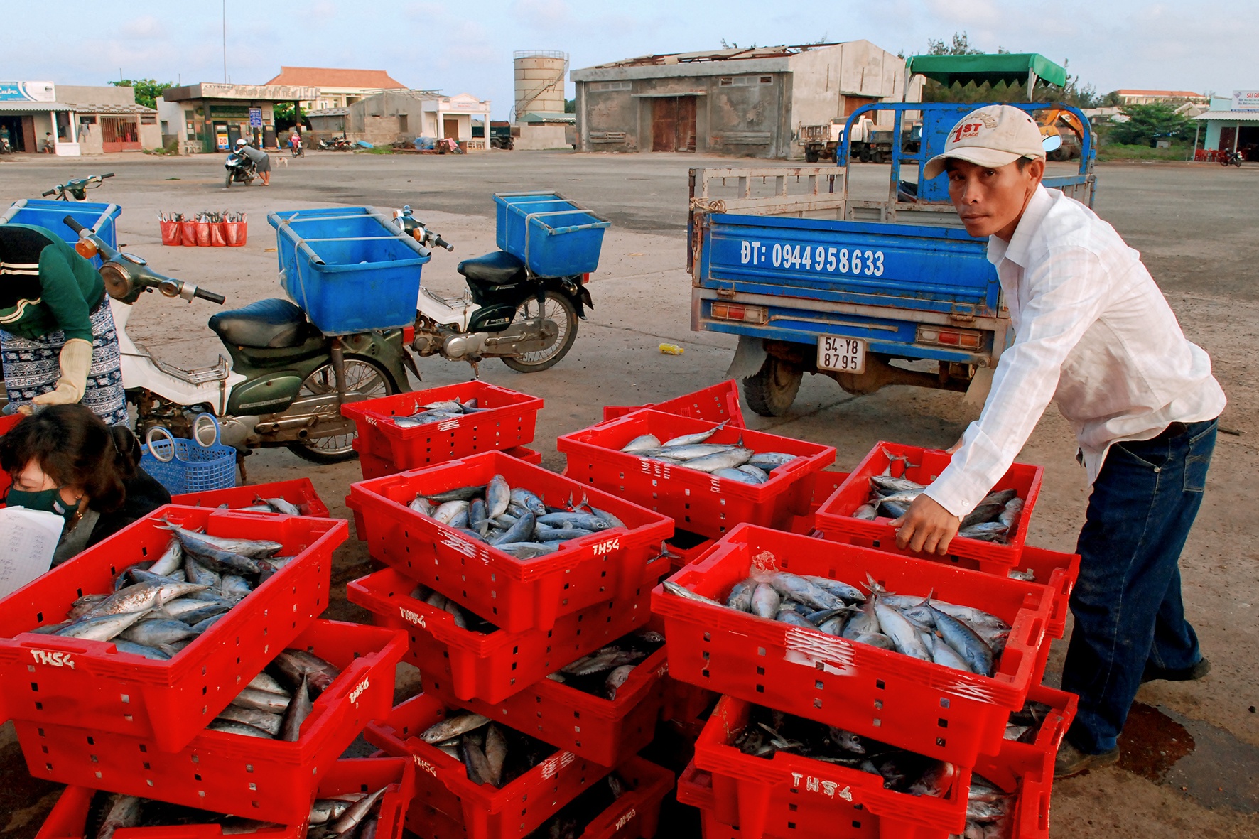 chợ cá đất cảng Phú Qúy ảnh 2 cho ca dat cang Phu Quy anh 2