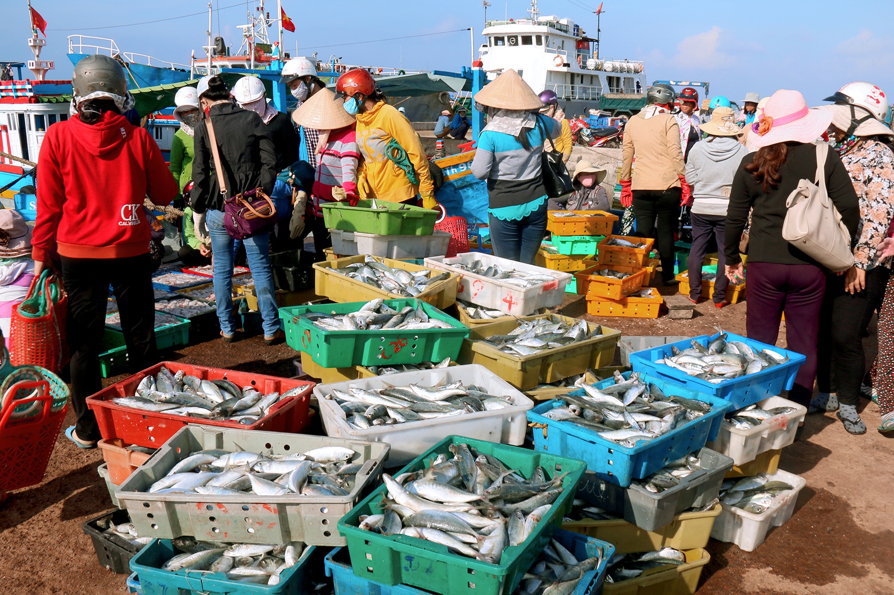 chợ cá đất cảng Phú Qúy ảnh 11 cho ca dat cang Phu Quy anh 11