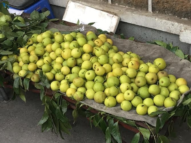 Qua le la sieu ngot dat khap via he Ha Noi hinh anh