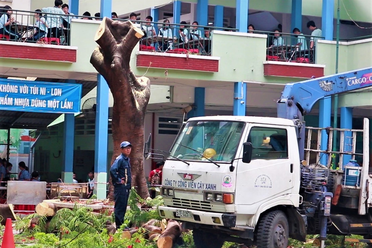 Chat cay phuong con lai trong tai nan khien hoc sinh tu vong hinh anh