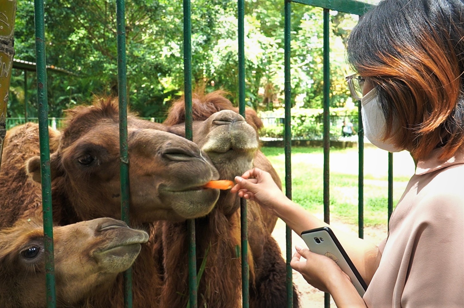Dai dien Thao Cam Vien: 'Chung toi co gang tu dung tren doi chan minh' hinh anh