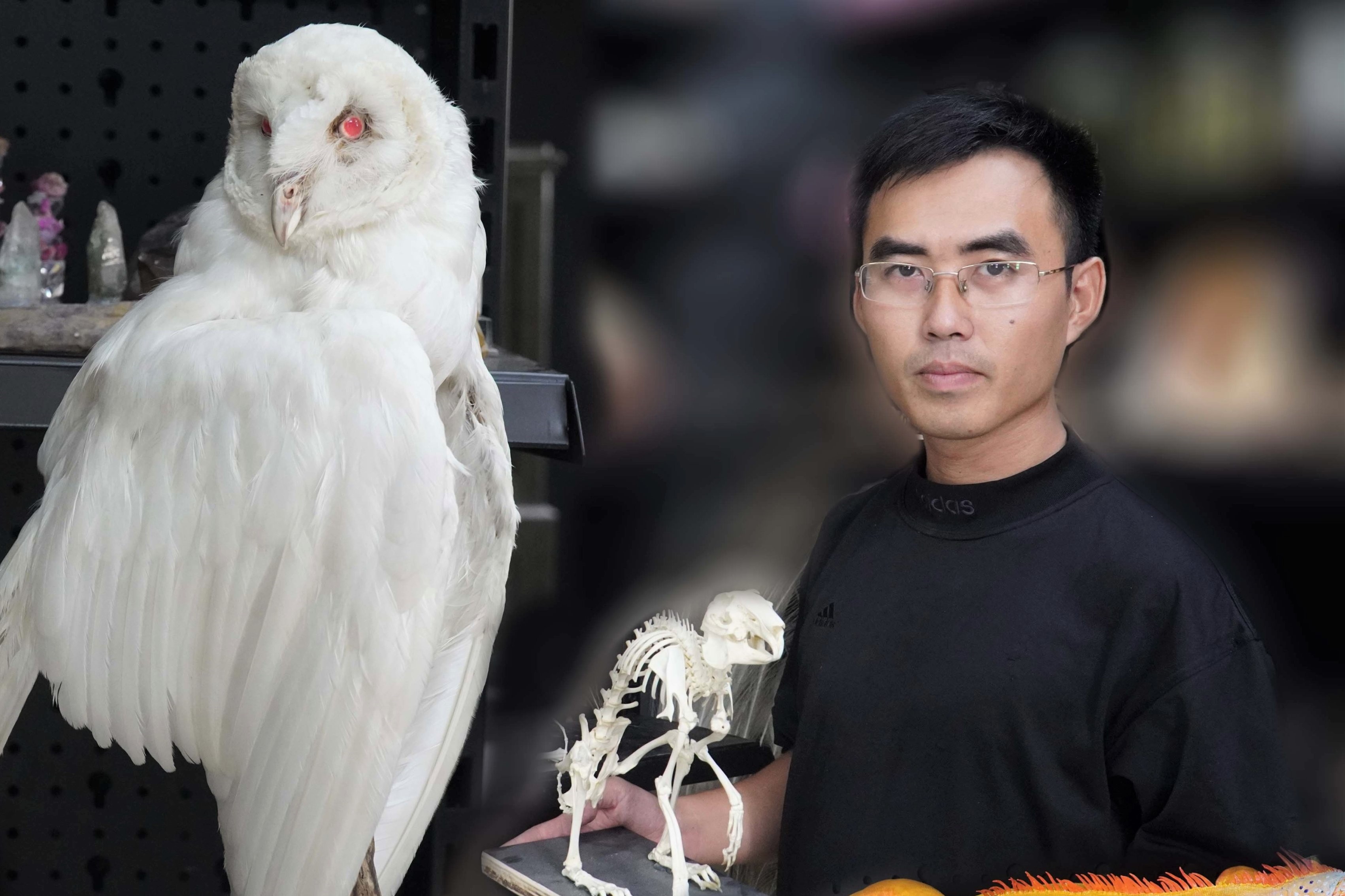 Nguoi dung tieu ban khung long, than lan hinh anh