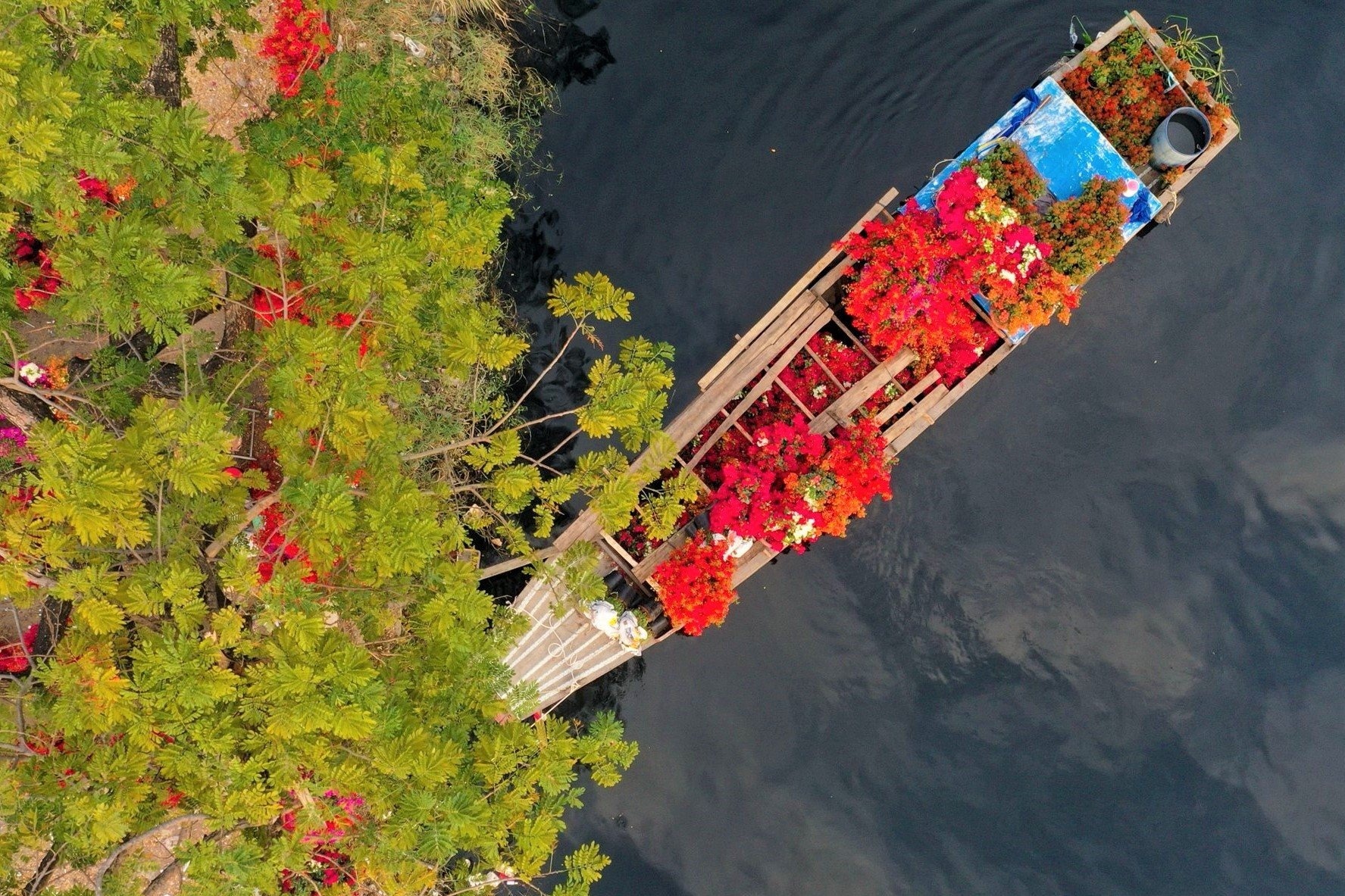 Tieu thuong tat bat truoc gio khai mac cho hoa Ben Binh Dong hinh anh