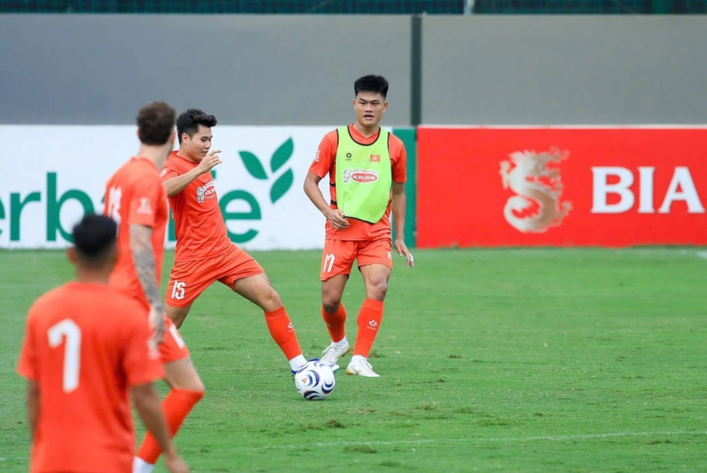 Việt Nam ảnh 1