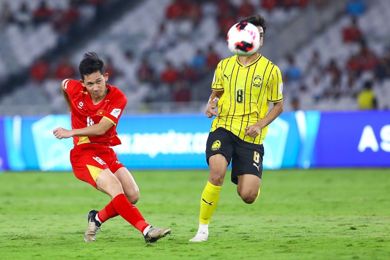 Việt Nam ảnh 7