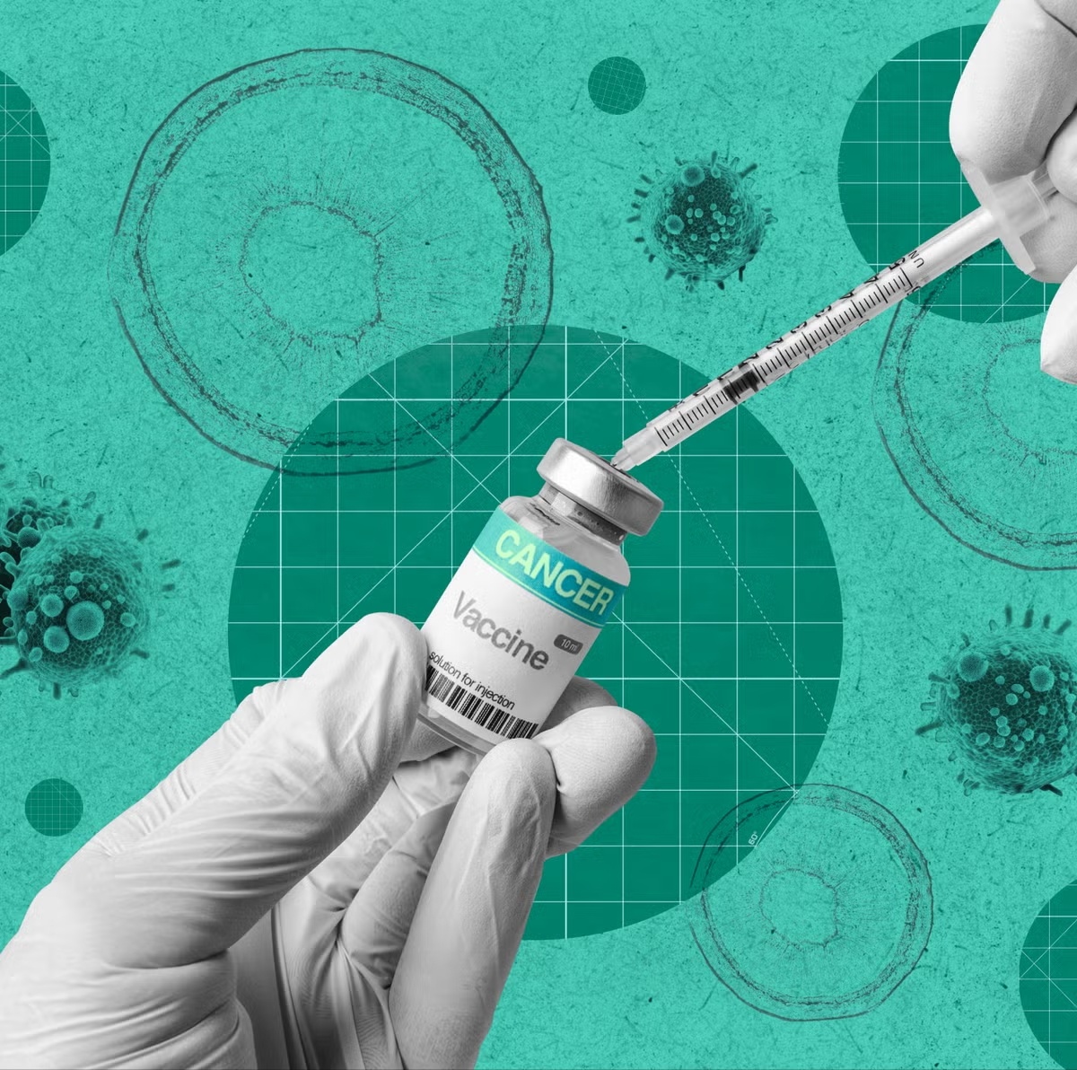 vaccine ảnh 1
