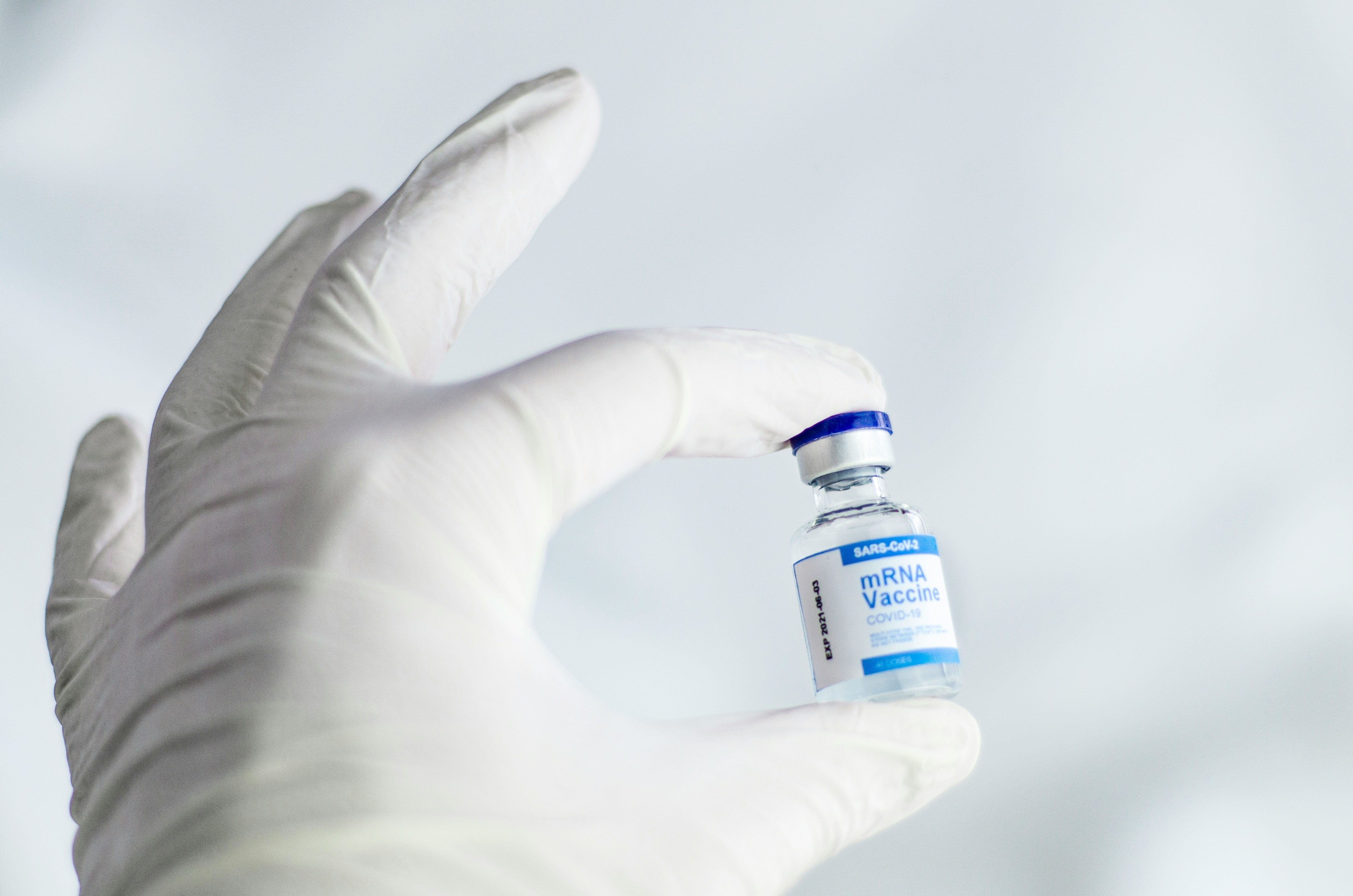 vaccine ảnh 3