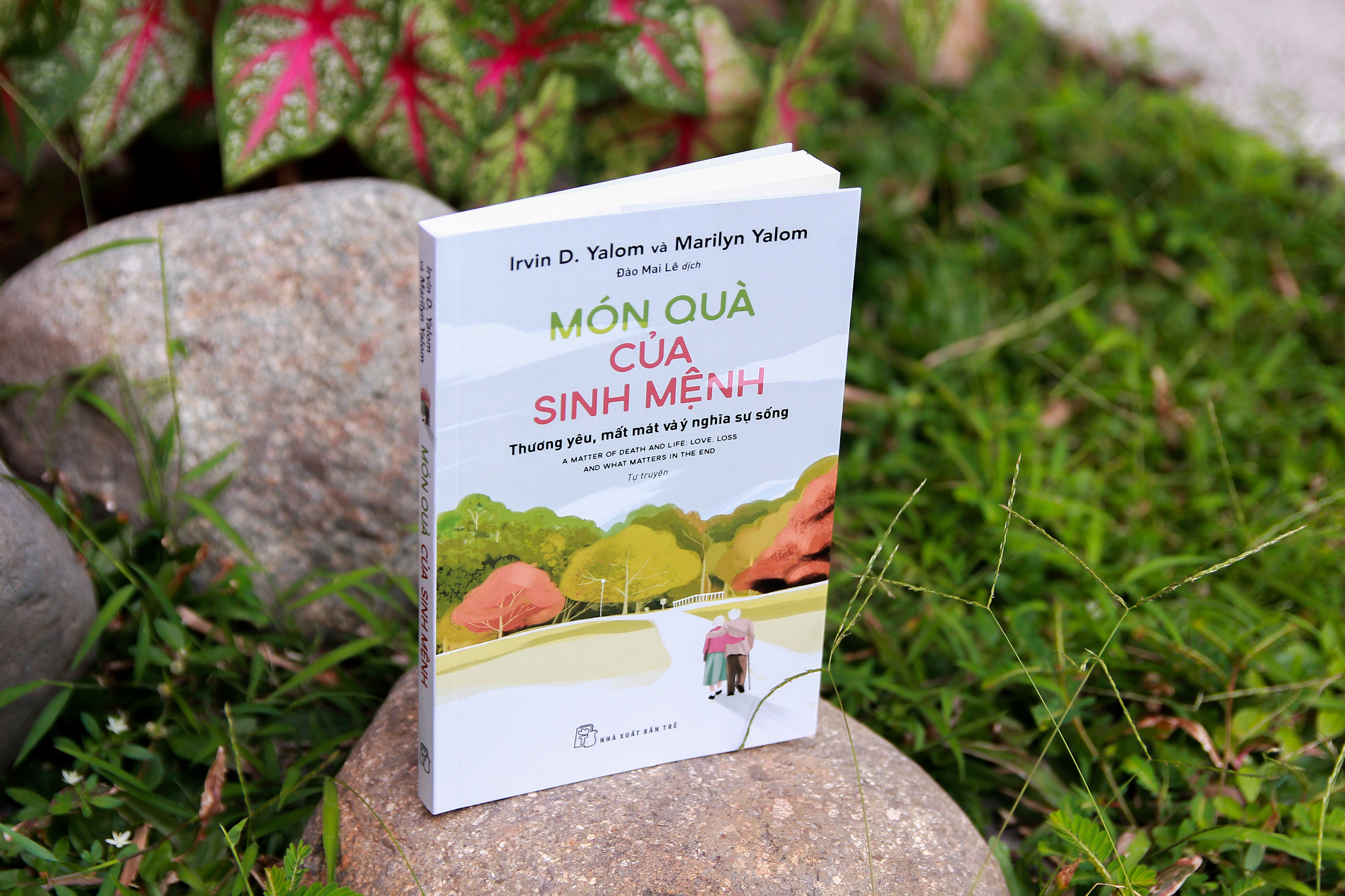nỗi đau,  hữu hạn,  đời người ngắn ngủi   ảnh 3