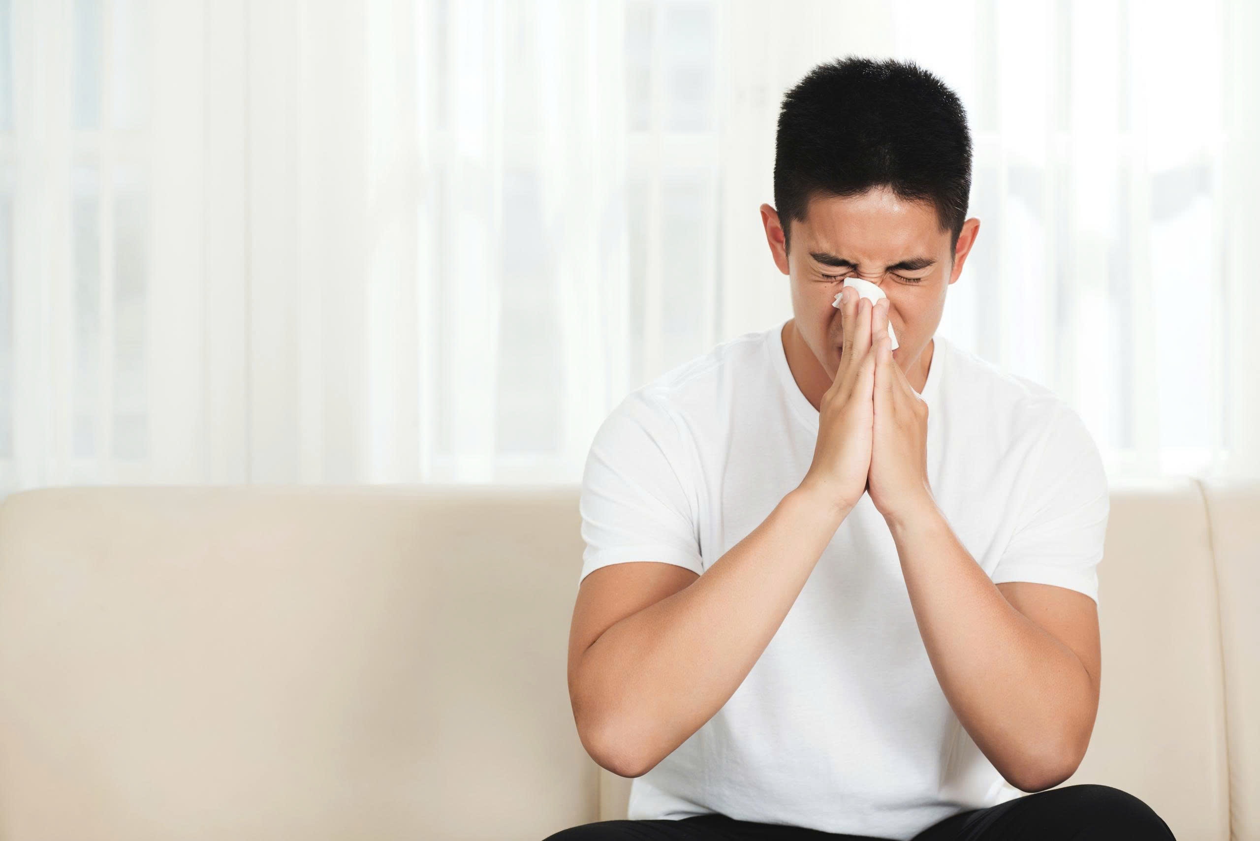 nấm mốc,  mạt bụi  ảnh 2