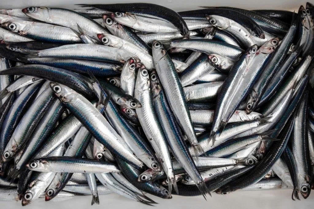 5 loại cá giá rẻ ở chợ Việt, cực giàu Omega-3 nên đưa vào thực đơn