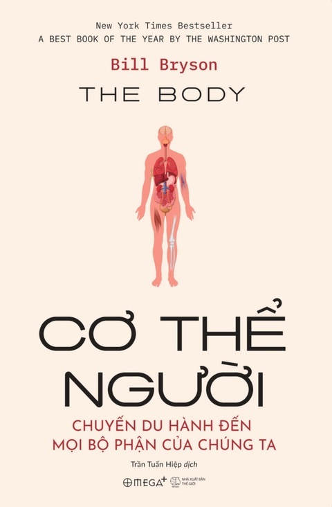 gan ảnh 2