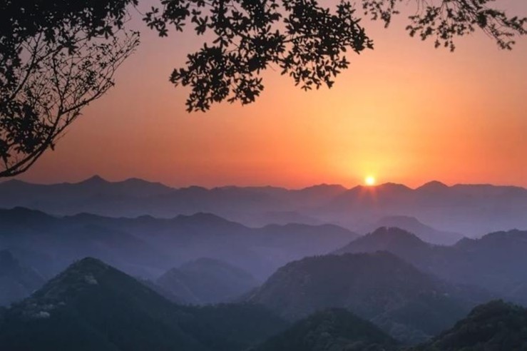 Viet Nam,  Australia anh 3