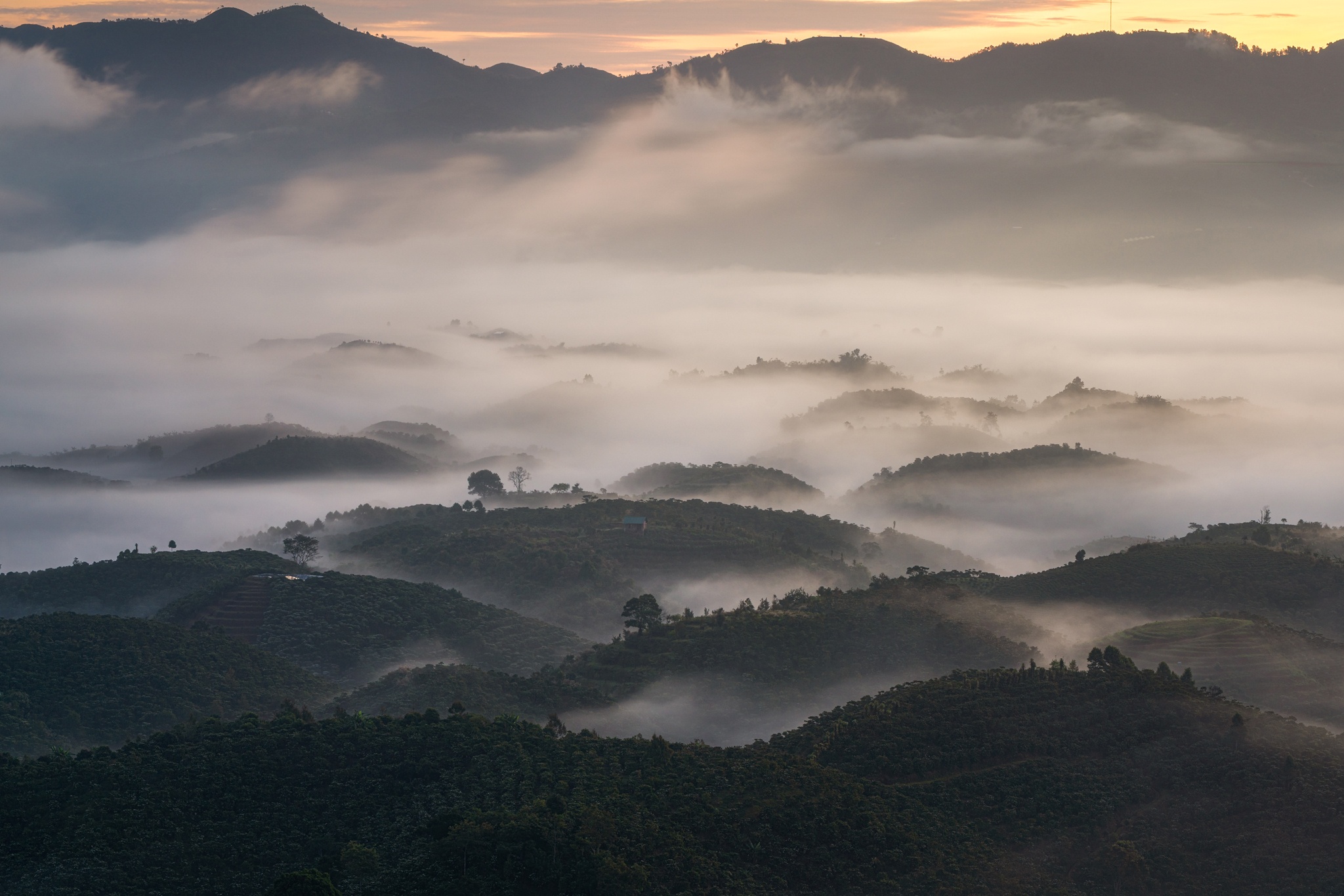 doi bat up anh 1