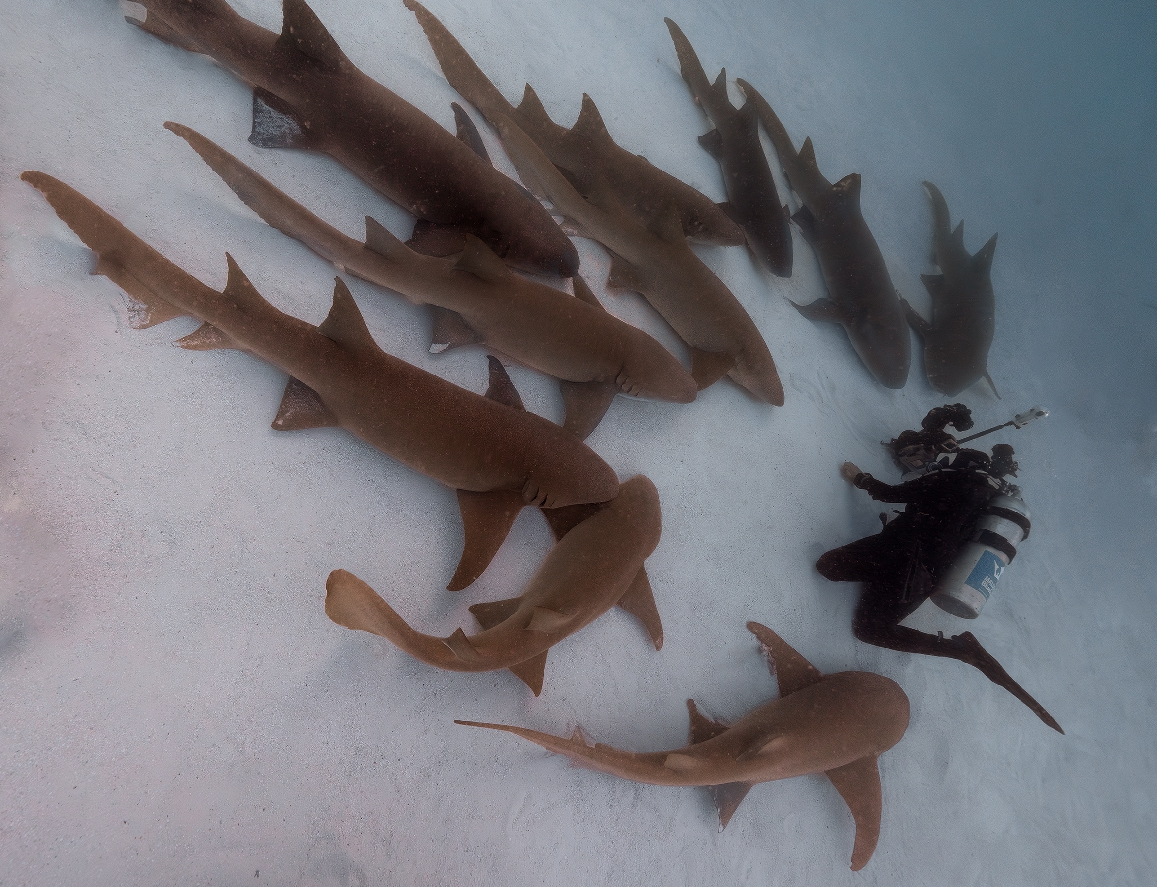 Toi bi dan ca map 'bao vay' tai Maldives hinh anh