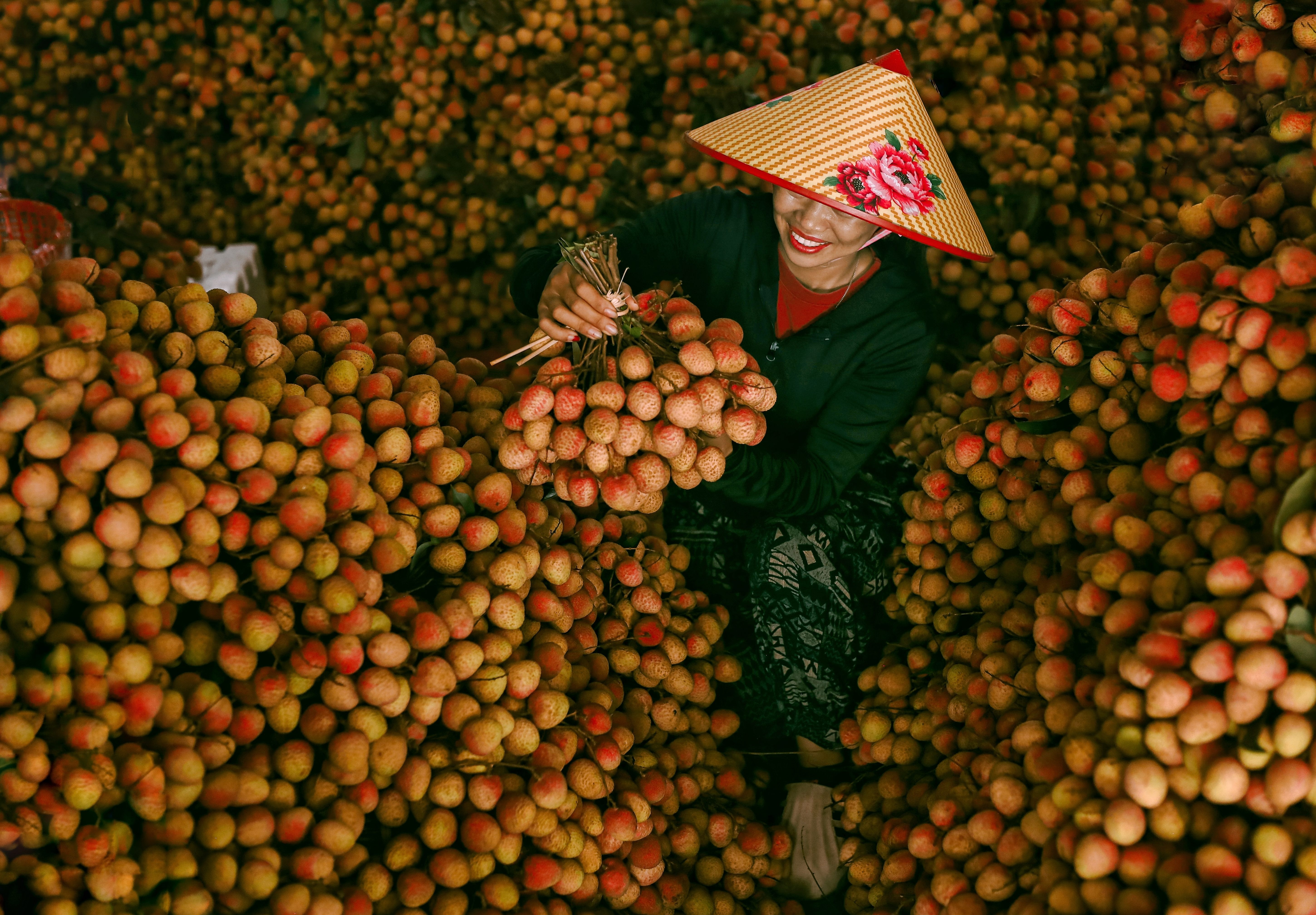 mua vai Bac Giang anh 16